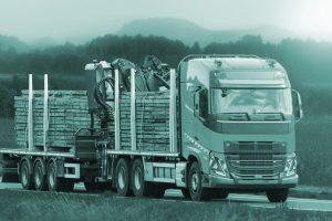 Timber Development UK 
