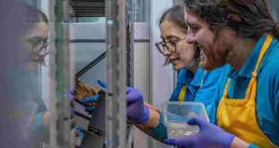 Building product manufacturer wienerberger is joining forces with a conservation zoo