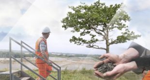 wsi imageoptim 8992 Sustainability 2 Updated